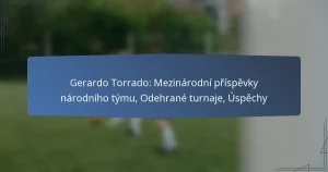 Gerardo Torrado: Mezinárodní příspěvky národního týmu, Odehrané turnaje, Úspěchy