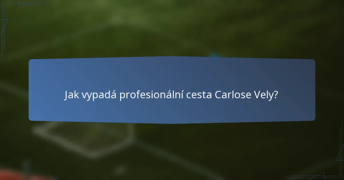 Jak vypadá profesionální cesta Carlose Vely?
