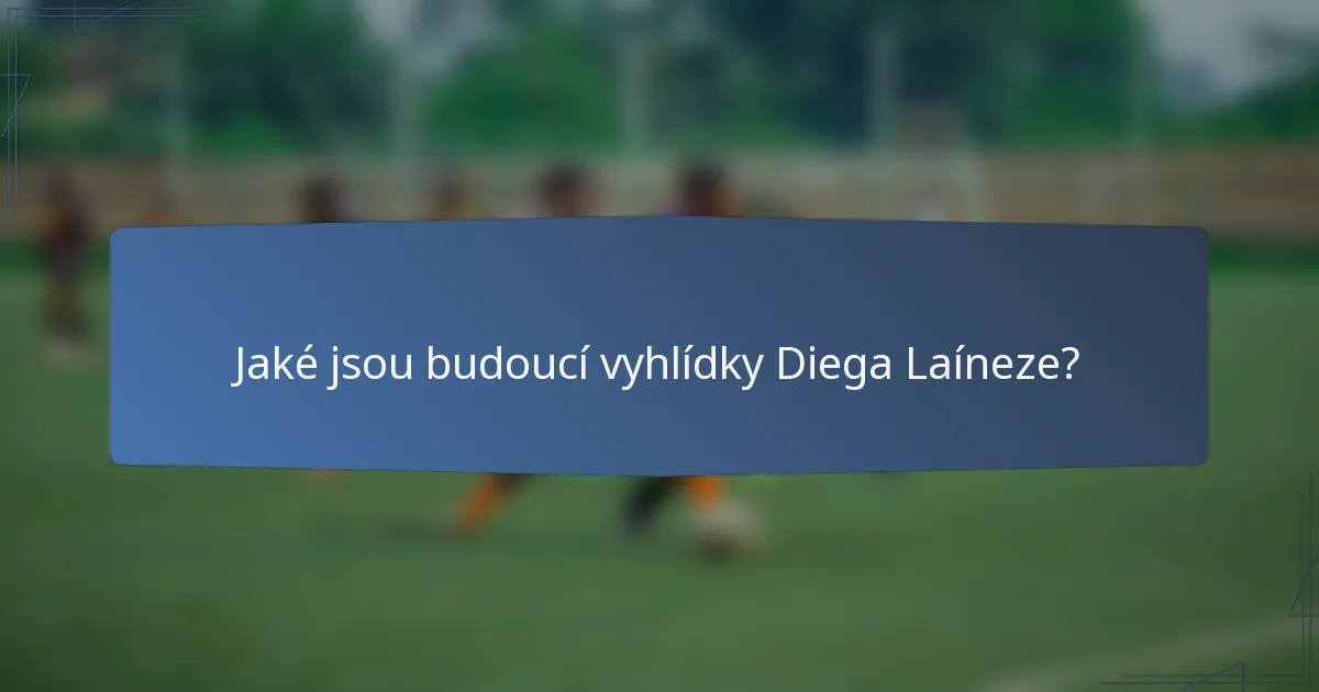 Jaké jsou budoucí vyhlídky Diega Laíneze?